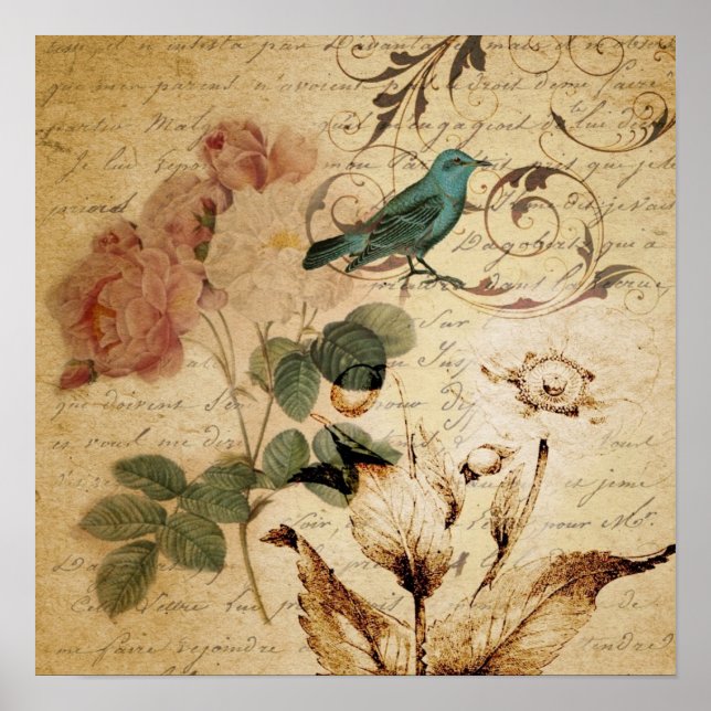 Póster Victorian Rose Paris Scripts french bird botanical (Frente)