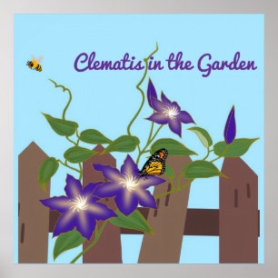 Póster Vid de Clemátide en el Jardín 