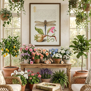 Póster Vida de jardín, libélula, pera, clavel e insecto