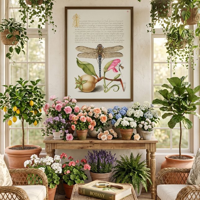 Póster Vida de jardín, libélula, pera, clavel e insecto (Dragonfly, Pear, Carnation, and Insect by Georg Bocskay and illustrator Joris Hoefnagel.)