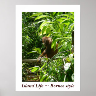 Póster Vida de la isla ~ estilo Borneo