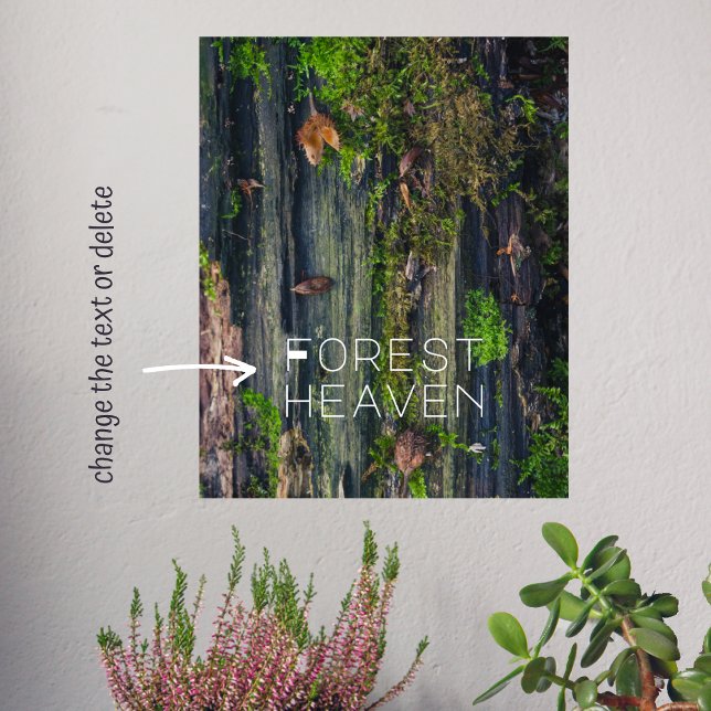 Póster Vida de la madera (Subido por el creador)