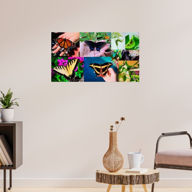 Póster Vida de mariposa (Salón 3)