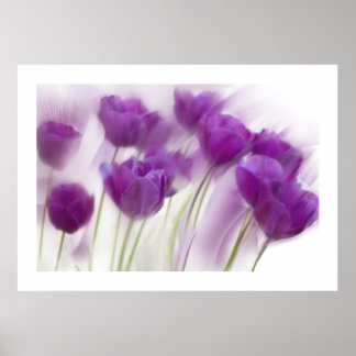 Póster Vida fija en lienzo