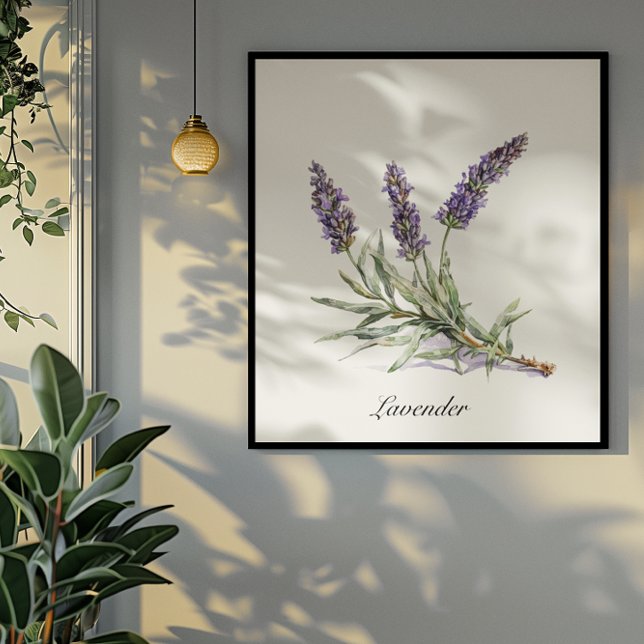 Póster Vida herbal: Lavanda, personalizable (Subido por el creador)