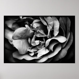 Póster vida interior en desarrollo