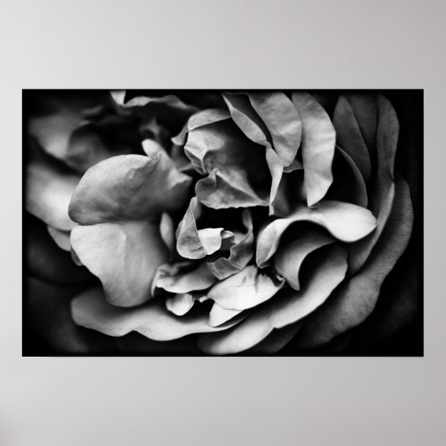 Póster vida interior en desarrollo (Frente)