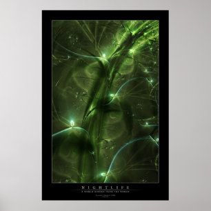 Póster Vida nocturna