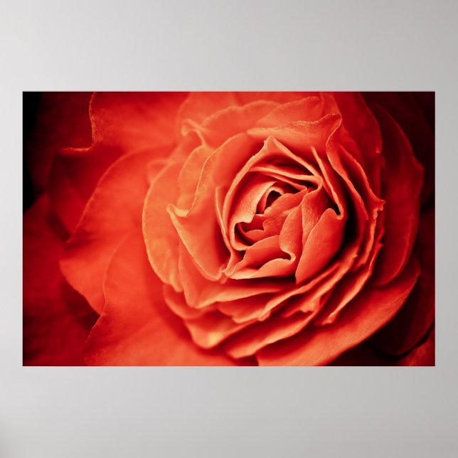 Póster vida romántica (Frente)