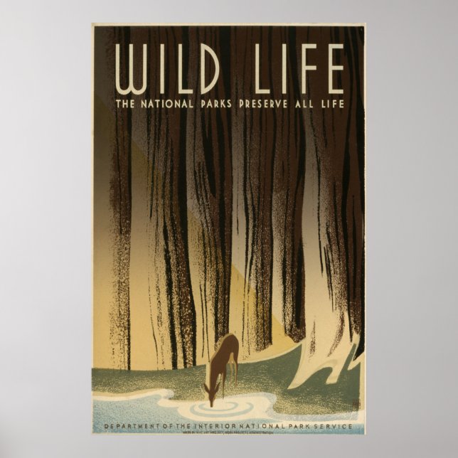 Póster Vida salvaje (Frente)