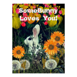 Póster Vida salvaje animal conejo conejo conejo