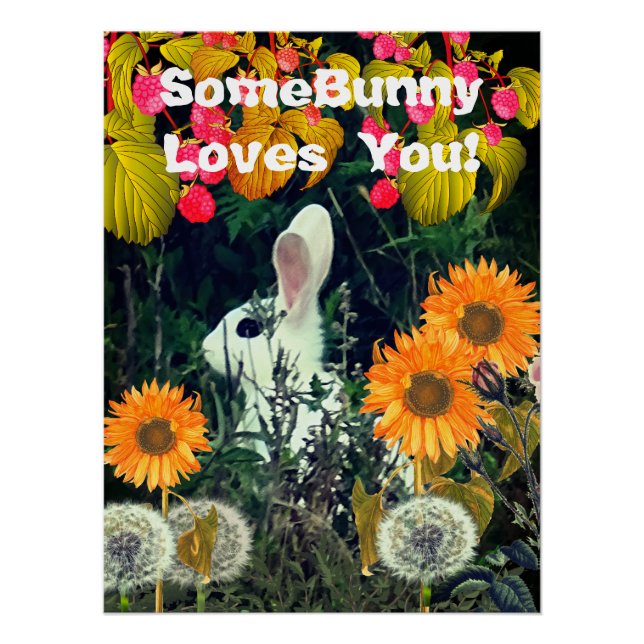 Póster Vida salvaje animal conejo conejo conejo (Anverso)