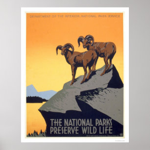 Póster Vida salvaje del coto WPA 1939