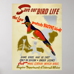 Póster Vida salvaje nativa del pájaro de la reserva del