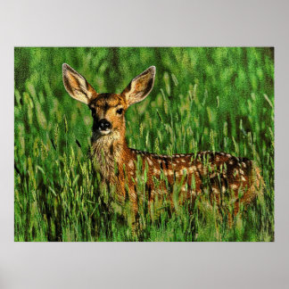 Póster Vida silvestre 11 golpeada