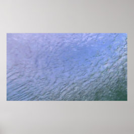 Póster Vida silvestre 139 poster