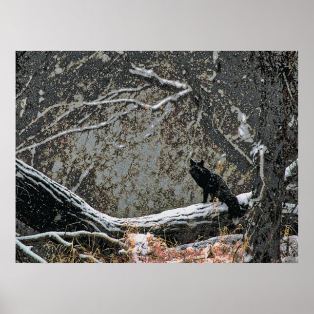 Póster Vida silvestre 8 cmyk (Frente)