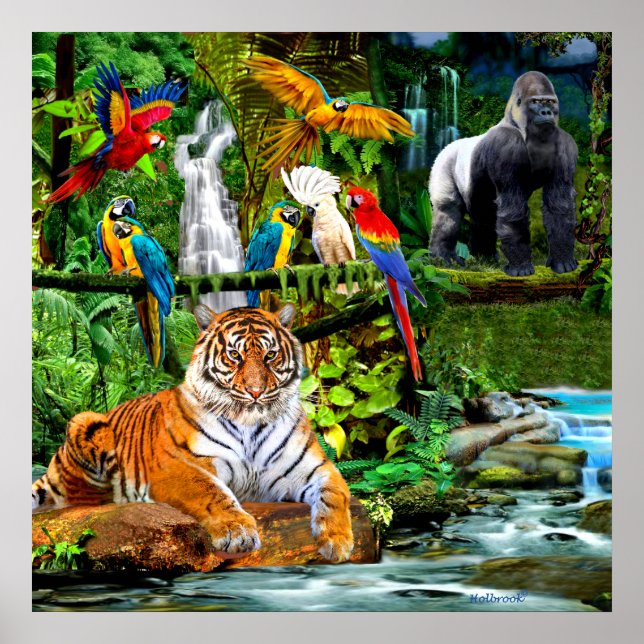 PÓSTER VIDA SILVESTRE DE LA SELVA TROPICAL (Frente)