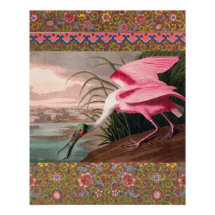 Póster Vida silvestre de los pájaros roseados Spoonbill A