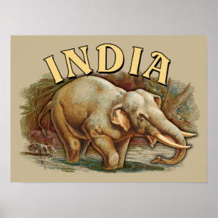 Póster Vida silvestre en India - Elefante indio