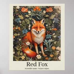 Póster Vida silvestre Red Fox Scientific Name