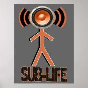 Póster Vida sub Dubstep