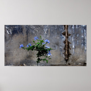 Póster Vida y muerte