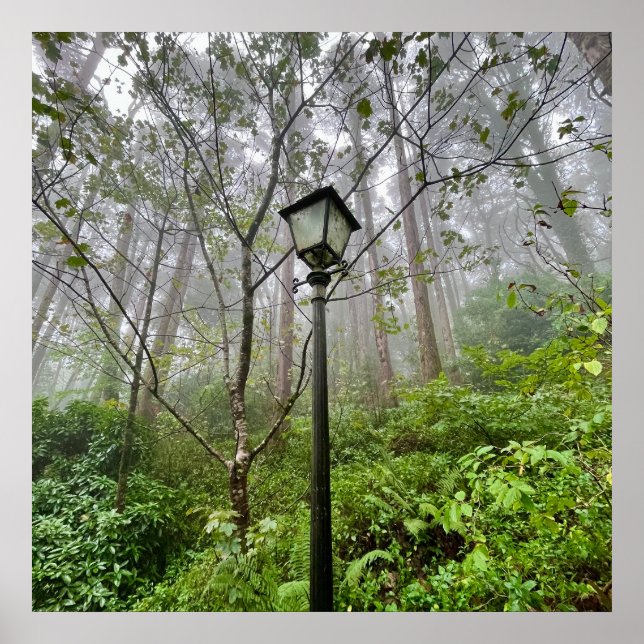 Póster Videos de Portugal (Frente)