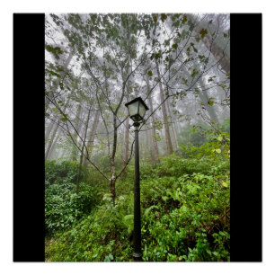 Póster Videos de Portugal