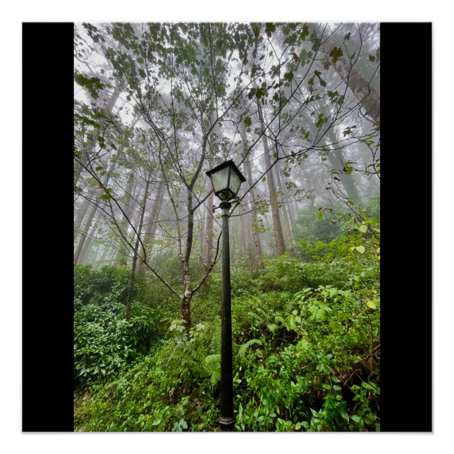 Póster Videos de Portugal (Anverso)