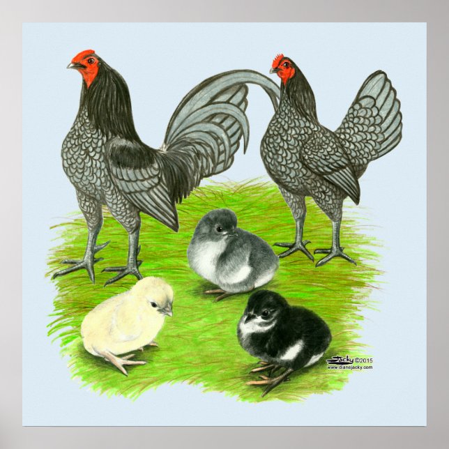 Póster Vieja familia de juegos azul inglesa (Frente)