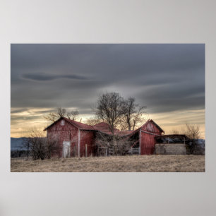 Póster Vieja fotografía roja de HDR de los árboles del
