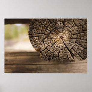 Póster Vieja textura de la cabina