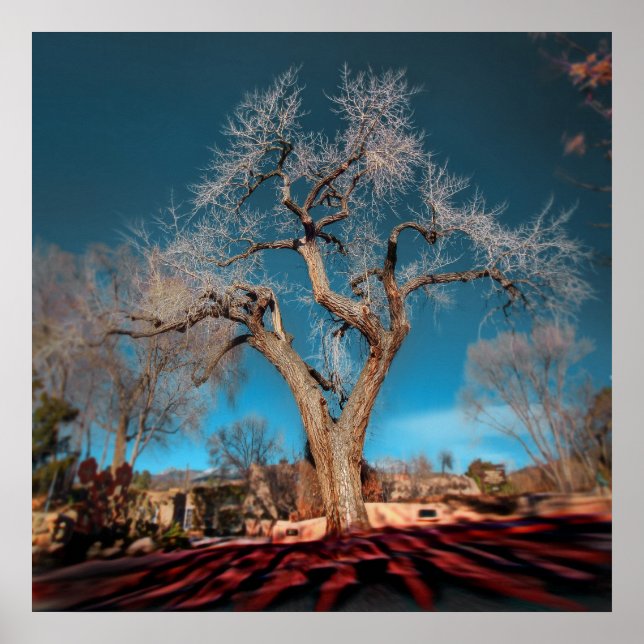 Póster Viejas raíces del Camino del Cañón (Frente)