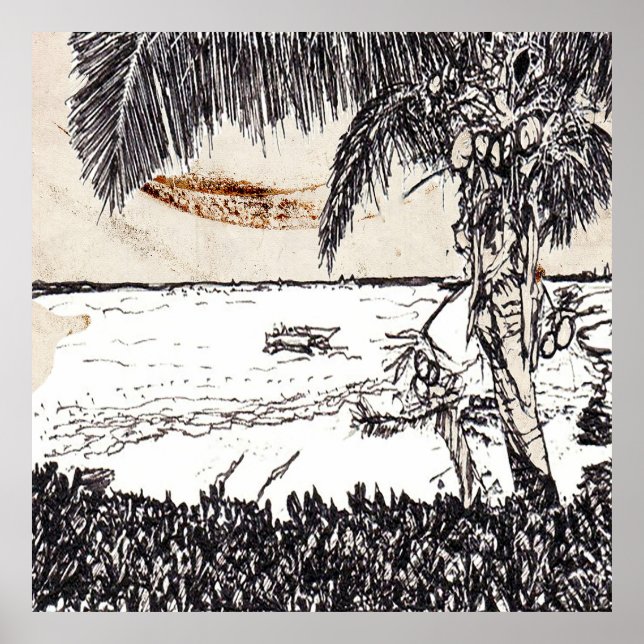 Póster Viejo árbol de coco de papel, Bahamas (Frente)