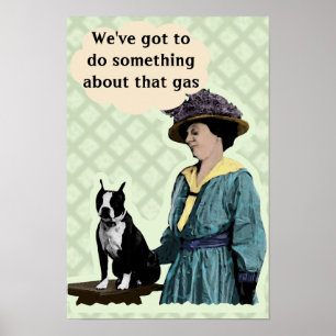 Póster Viejo Boston Terrier