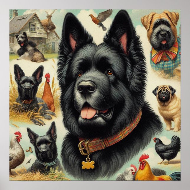 Póster Viejo Bouvier des Flandres Seamless (Frente)