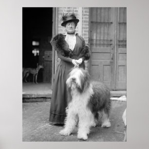 Póster Viejo inglés Sheepdog, 1915