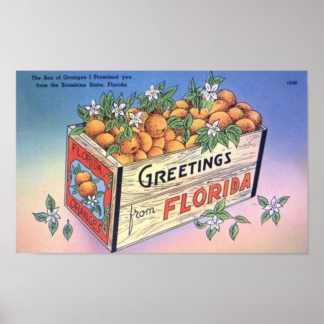 Póster Viejos saludos de Naranjas de Florida (Frente)