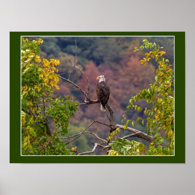 Póster Viendo el otoño (Frente)