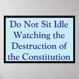 Póster Viendo la Constitución Destruida