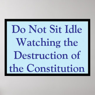 Póster Viendo la Constitución Destruida