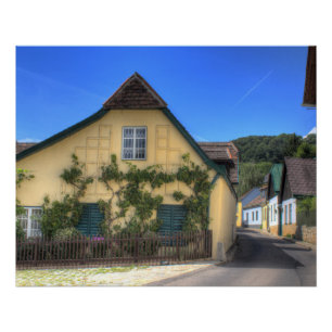 Póster Viendo Viena Austria