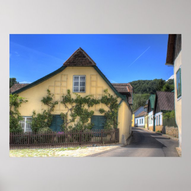 Póster Viendo Viena Austria (Frente)