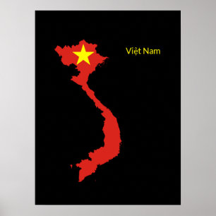 Póster Viene a Nam