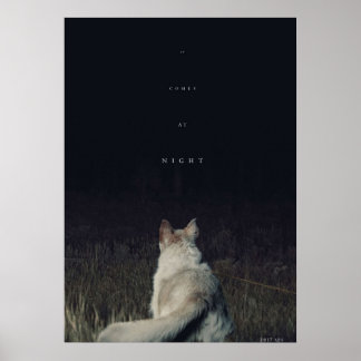 Póster Viene en la película nocturna