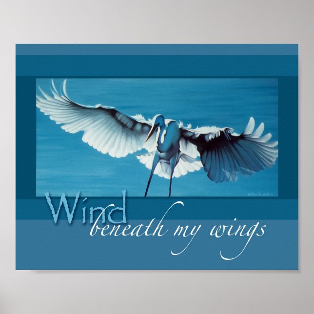 Póster Viento bajo mis alas 8 x 10 (Frente)