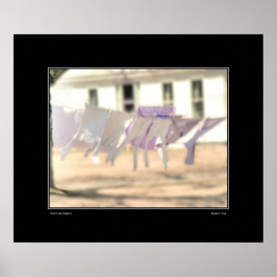 Póster Viento en el Poster de Washington