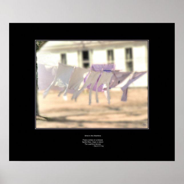 Póster Viento en el Poster de Washington - Haiku (Frente)