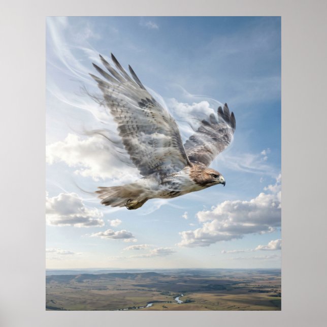 Póster Viento Halcón Horizonte Abierto (Frente)